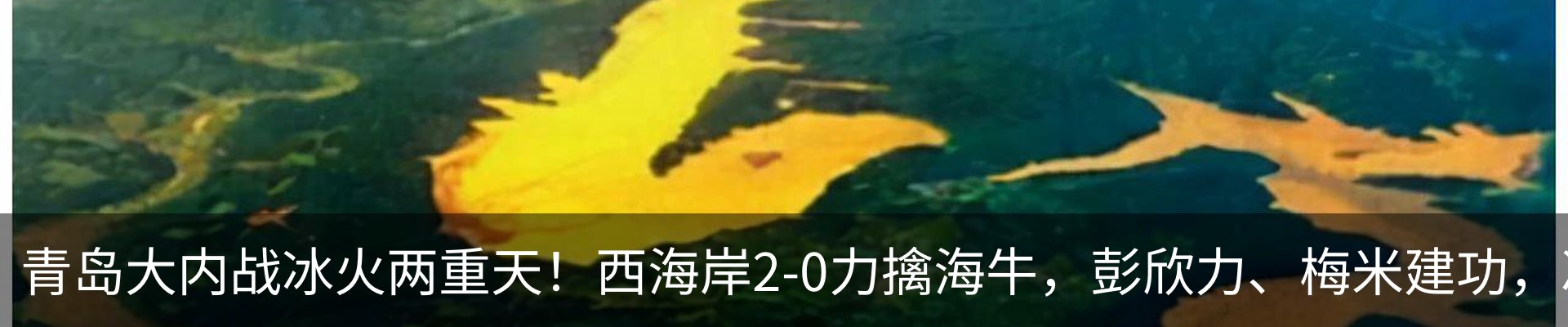 资讯中心